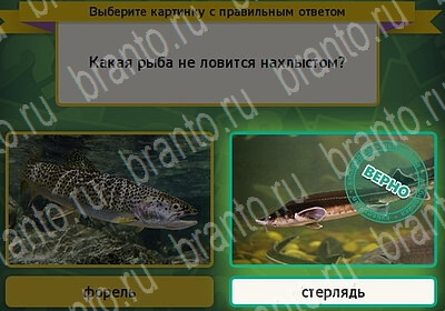 игра Выбирайка Мой мир ответ на Уровень 6210