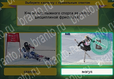 ответы к игре Выбирайка Уровень 6215