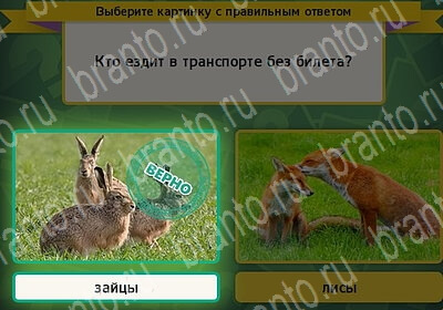 Выбирайка игра подсказки Уровень 6224