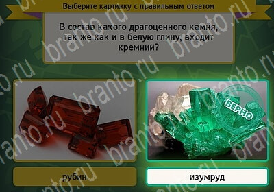 решебник на игру Выбирайка Уровень 6231
