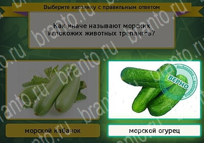 Выбирайка игра ответы Уровень 6233