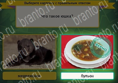 Выбирайка ответы в картинках Уровень 6236