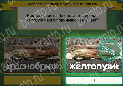 ответы к игре Выбирайка Уровень 6245