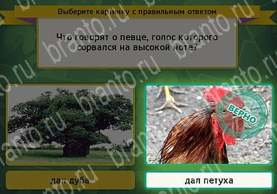 Выбирайка подсказки в контакте Уровень 6249