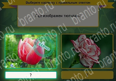 Выбирайка ответы в картинках Уровень 6256
