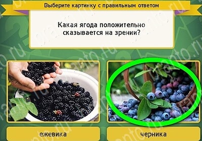 Выбирайка решения Уровень 6262