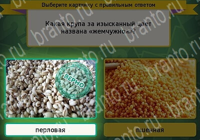 игра Выбирайка Мой мир ответ на Уровень 6270