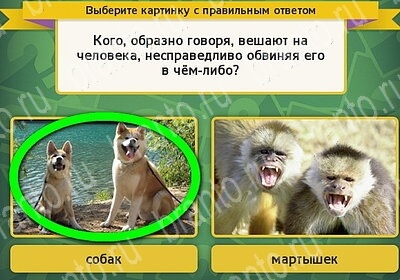 решебник на игру Выбирайка Уровень 6281