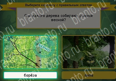 Выбирайка ответы в картинках Уровень 6286