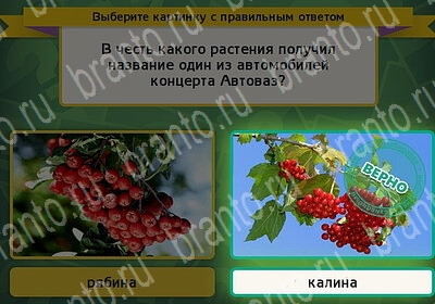 Игра Выбирайка ответы Уровень 6287