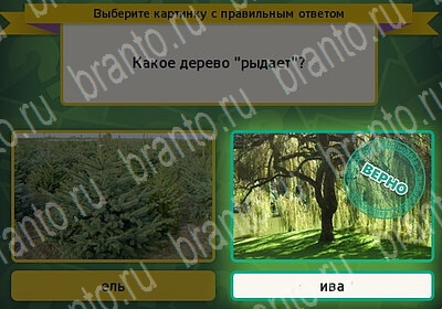 игра Выбирайка помощь Уровень 6289