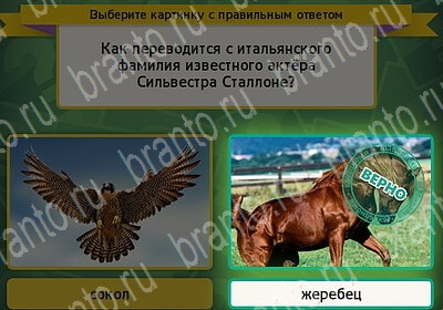 игра Выбирайка ответ на Уровень 6290