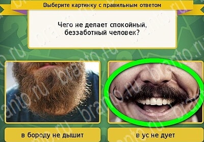 Выбирайка ответы в картинках Уровень 6296