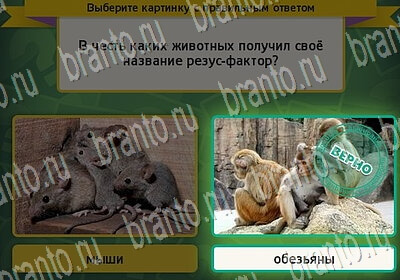 решебник на игру Выбирайка Уровень 6321