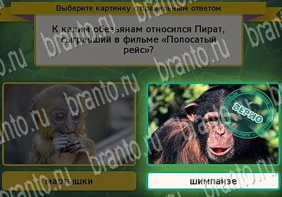 Выбирайка игра подсказки Уровень 6344