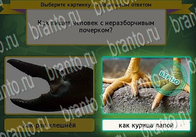 Выбирайка игра подсказки Уровень 6354