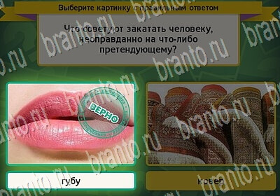 игра Выбирайка ответ на Уровень 6370