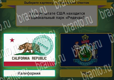 игра Выбирайка ответ на Уровень 6380