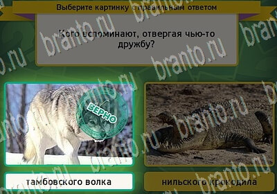 решебник на игру Выбирайка Уровень 6381