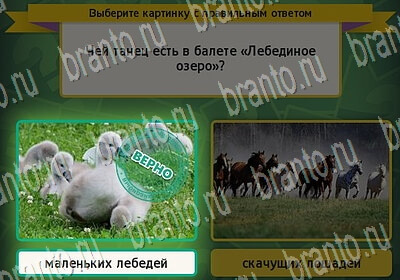 Выбирайка игра ответы Уровень 6383