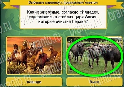 Выбирайка ответы в картинках Уровень 6386