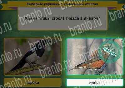 Выбирайка игра ответы в одноклассниках Уровень 6397