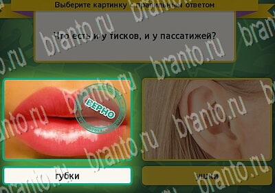 игра Выбирайка помощь Уровень 6409