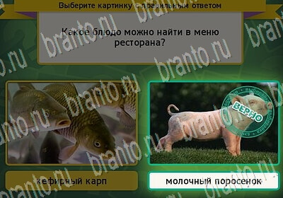 Выбирайка игра помощь Уровень 6415