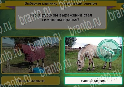 Выбирайка ответы в картинках Уровень 6416