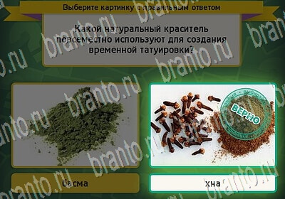 игра Выбирайка Мой мир ответ на Уровень 6420
