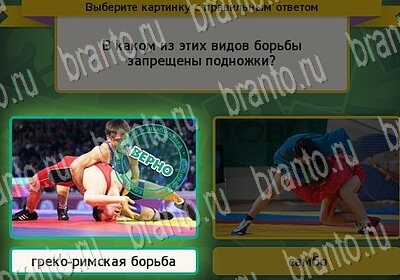 Решения на игру Выбирайка Уровень 6423