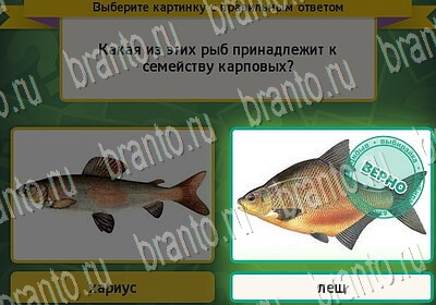 Одноклассники Выбирайка ответы Уровень 6428