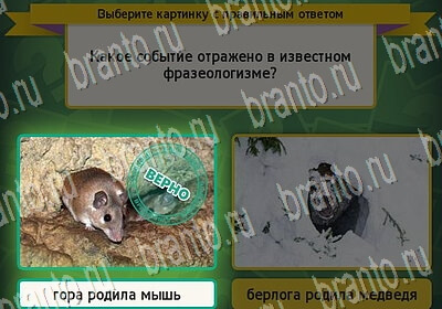 Выбирайка решения Уровень 6432