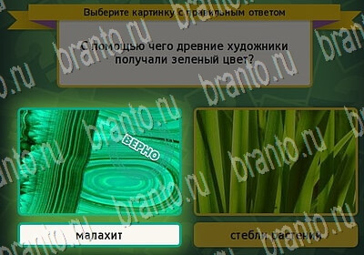 Игра Выбирайка ответы Уровень 6437