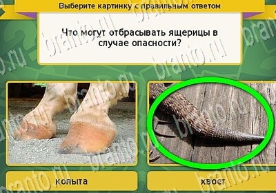 Помощь на игру ВК Выбирайка Уровень 6454