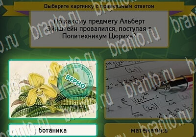 Выбирайка ответы в картинках Уровень 6466