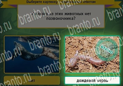 Выбирайка решения Уровень 6502