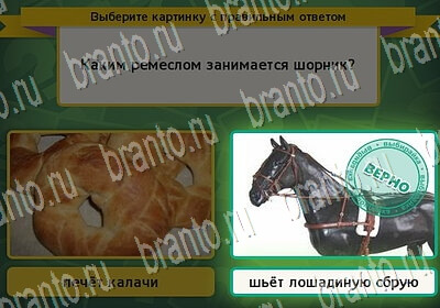 Игра Выбирайка Мой мир ответы Уровень 6507