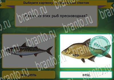 решебник на игру Выбирайка Уровень 6521