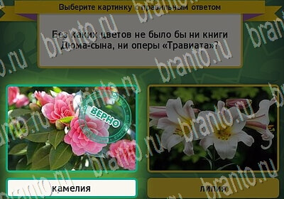 Выбирайка игра подсказки Уровень 6524