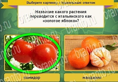 Выбирайка ответы в картинках Уровень 6526