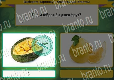 Выбирайка ответы в картинках Уровень 6536