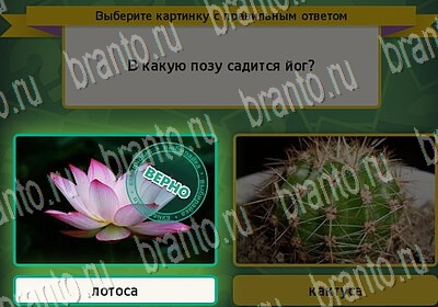 Игра Выбирайка Одноклассники подсказки Уровень 6568