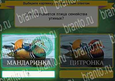 Подсказки на игру Выбирайка Уровень 6572