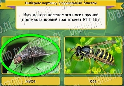 Выбирайка игра ответы в одноклассниках Уровень 6577