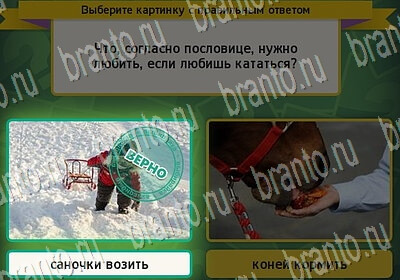 игра Выбирайка ответ на Уровень 6590