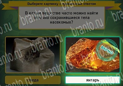 Подсказки на игру Выбирайка Уровень 6602