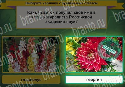ответы на игру в одноклассниках Выбирайка Уровень 6606