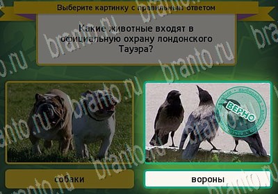 решебник на игру Выбирайка Уровень 6621