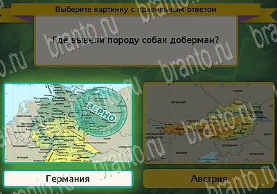 Игра Выбирайка ответы Уровень 6647